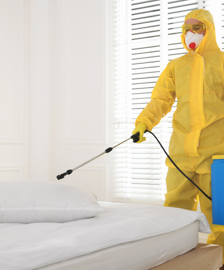 Professional Pest Control Team in Hawthorndene